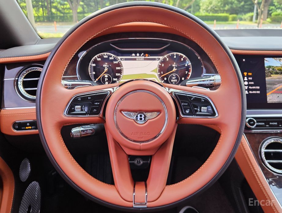 Continental GT 3rd Generation 4.0 GT 14