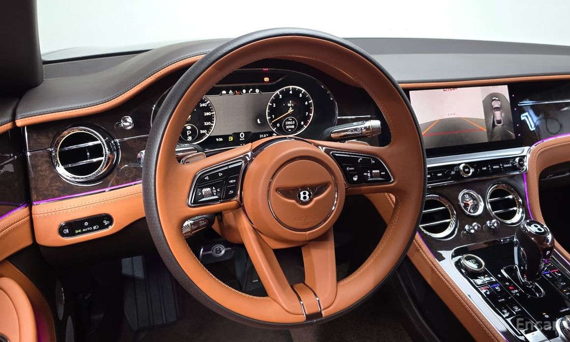 Continental GT 3rd Generation 4.0 GT 13