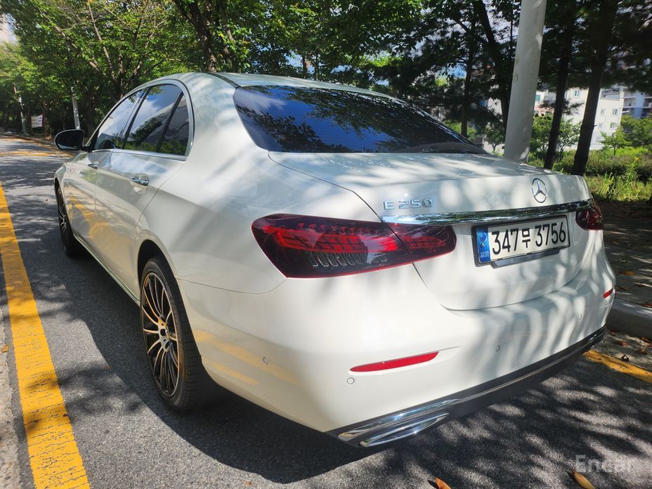 E-Class W213E250 Exclusive 3