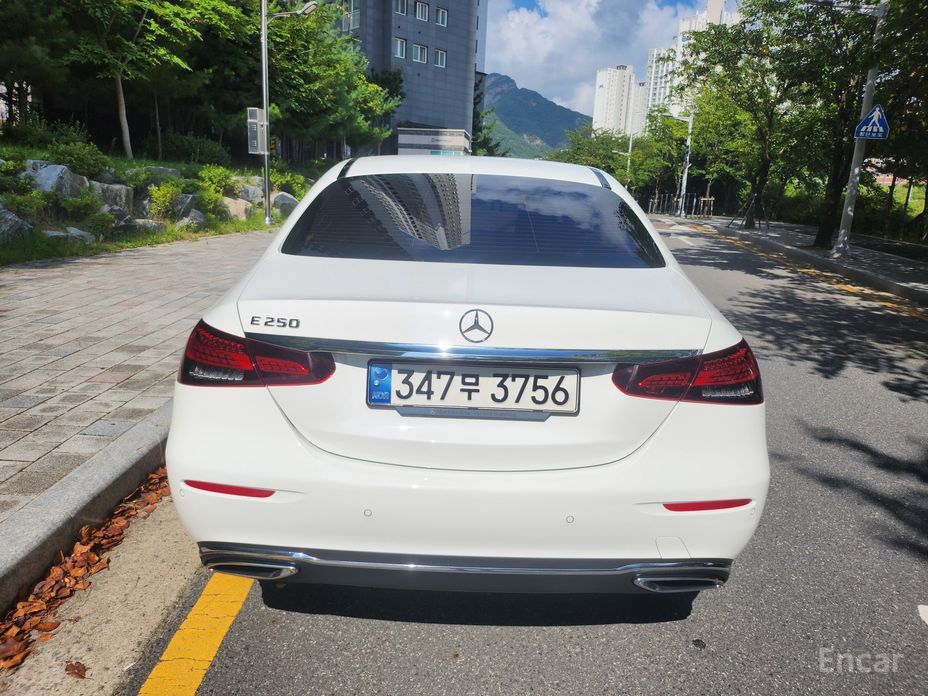 E-Class W213E250 Exclusive 5