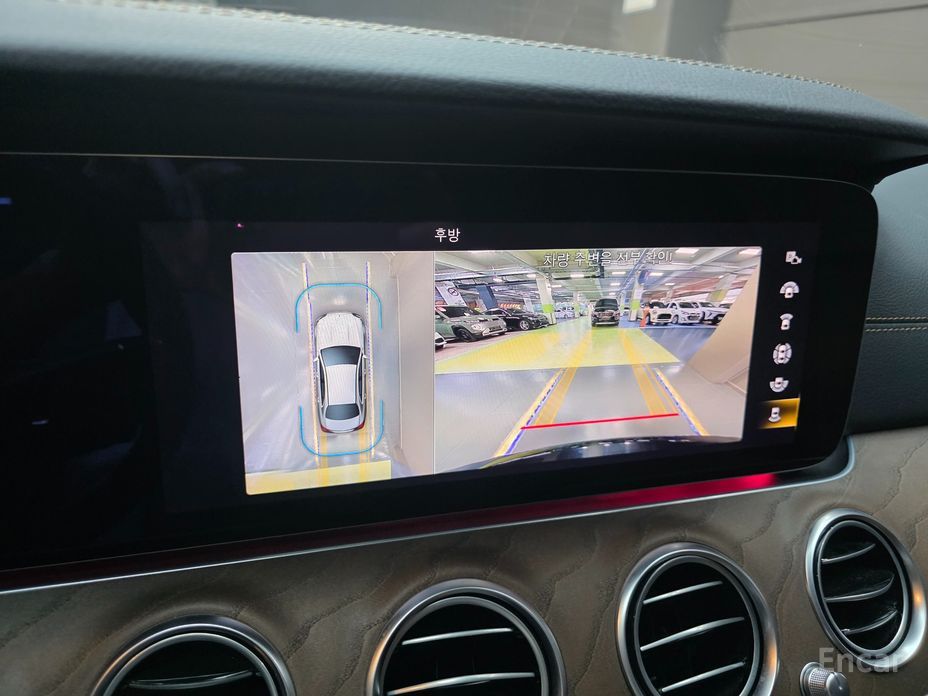 E-Class W213E250 Exclusive 19