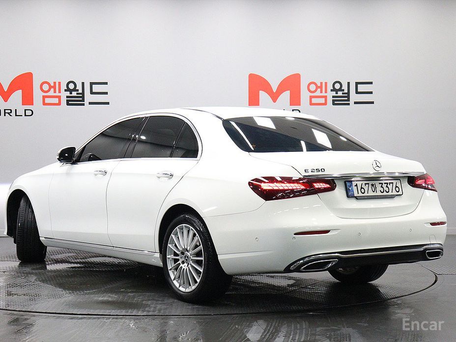 E-Class W213E250 Exclusive 5