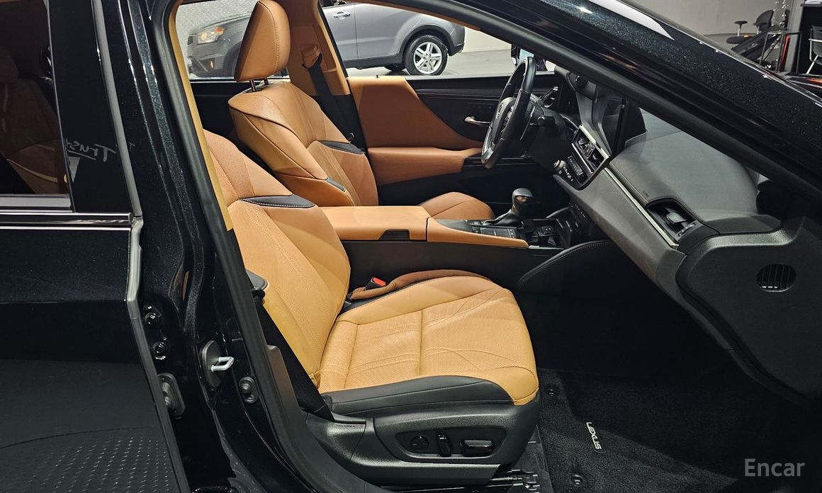 Lexus ES300h 7th Generation Executive №11