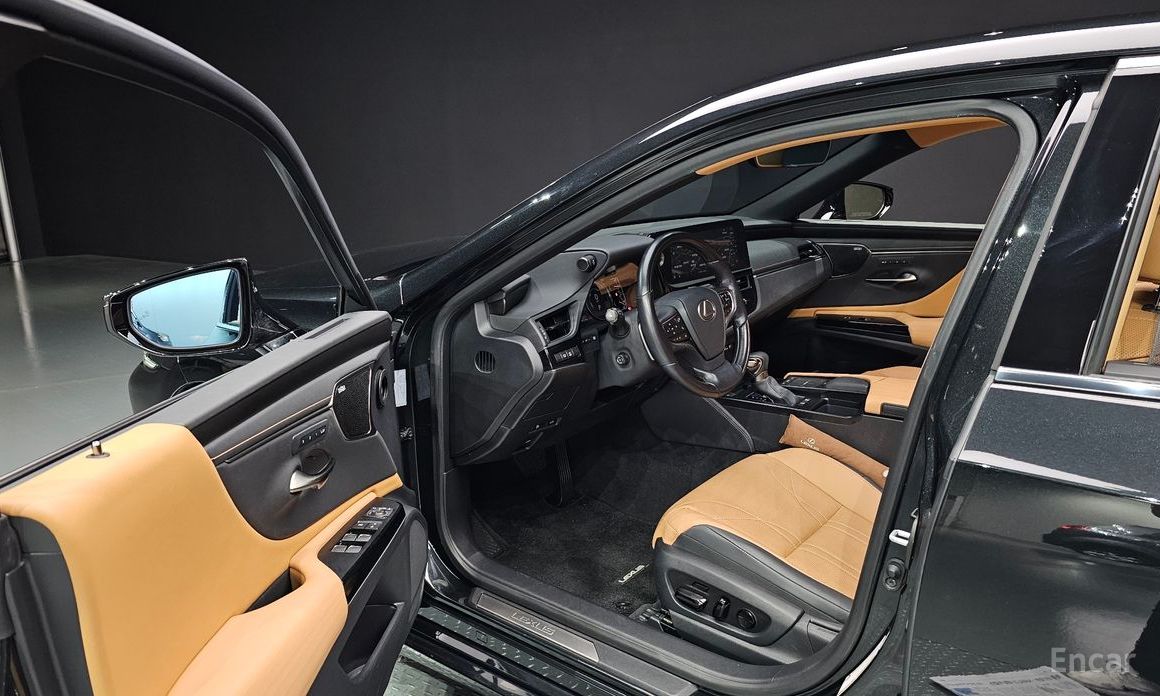 Lexus ES300h 7th Generation Executive №12