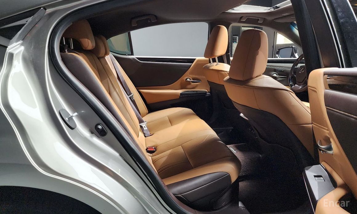 ES300h 7th Generation Luxury 13