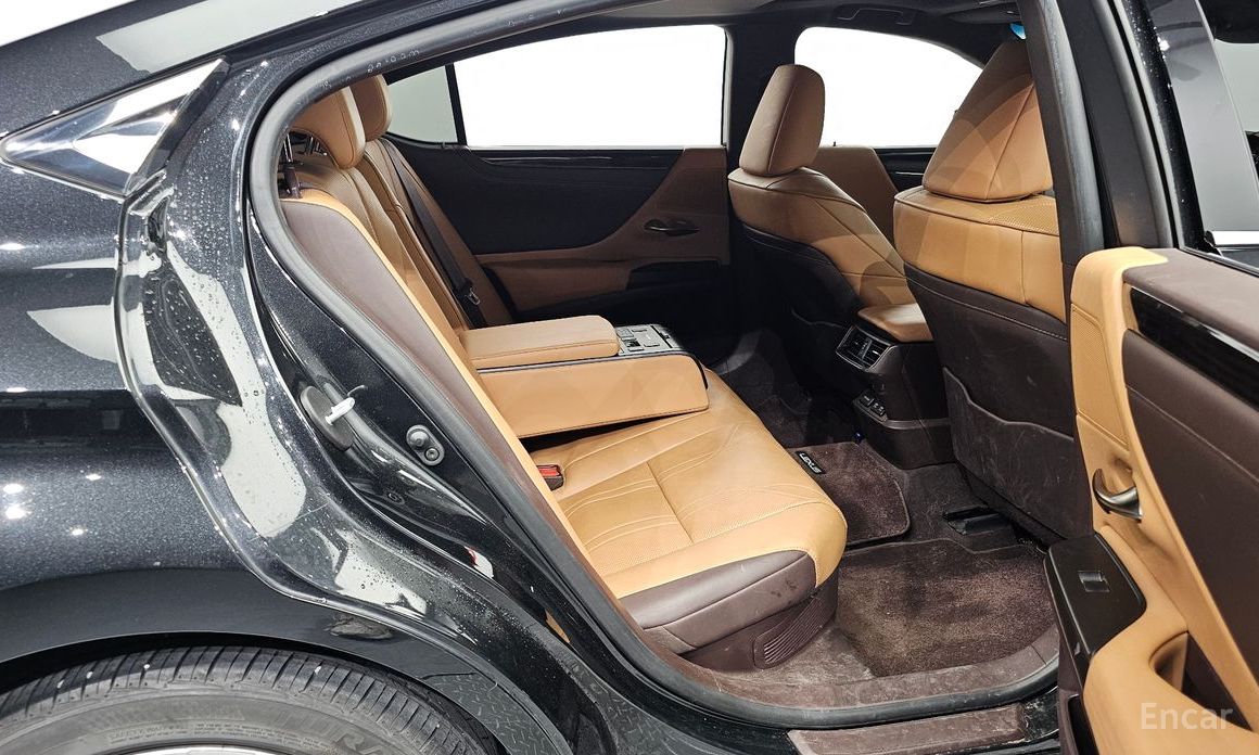 Lexus ES300h 7th Generation Luxury Plus №13