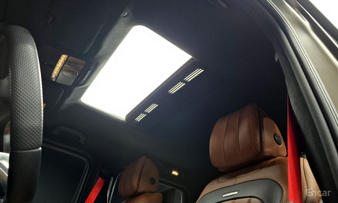 G-Class W463bAMG G63 Manufacturer 21