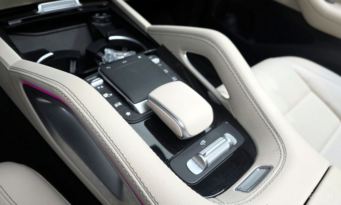 GLE-Class W167GLE300d 4MATIC 19