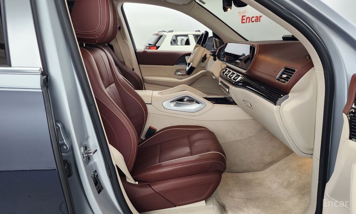 GLS-Class X167 Maybach GLS600 4MATIC Manupak Tour 12