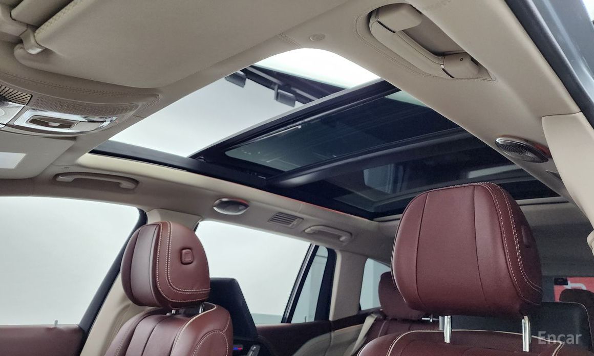 GLS-Class X167 Maybach GLS600 4MATIC Manupak Tour 19