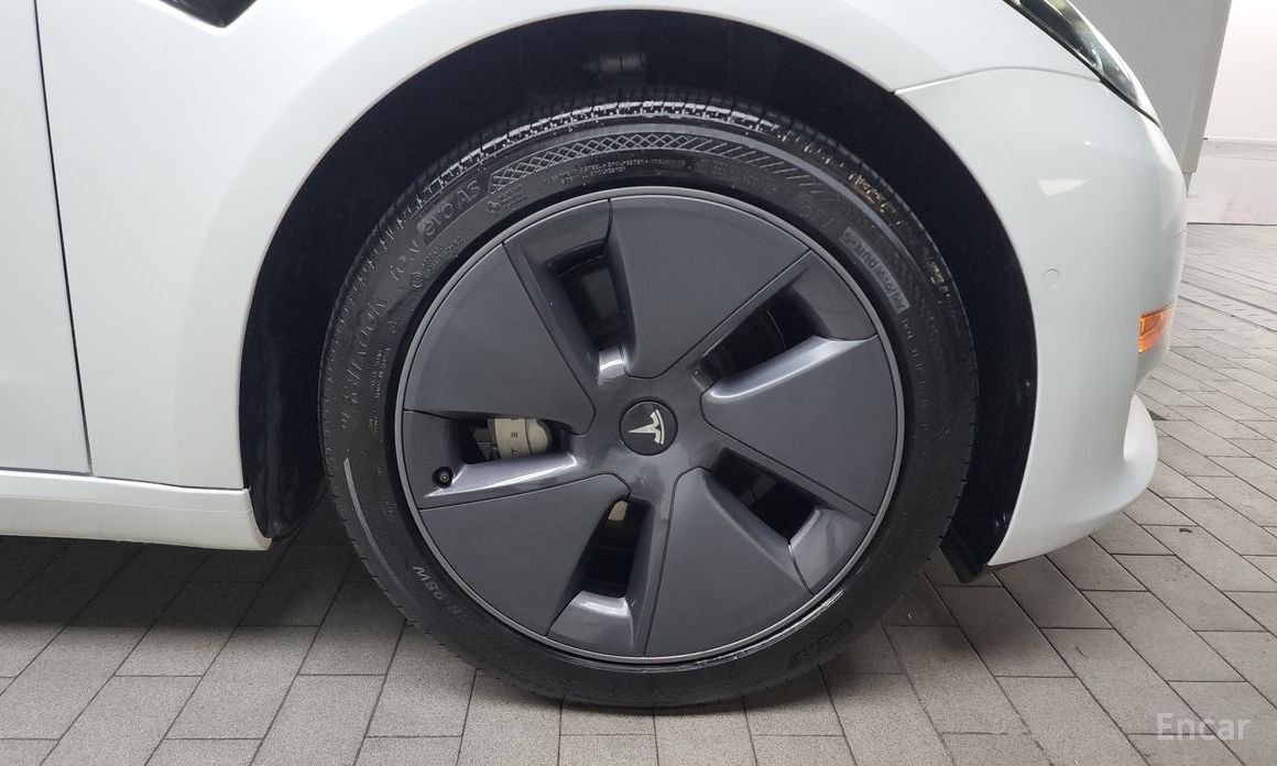 Model 3RWD 6