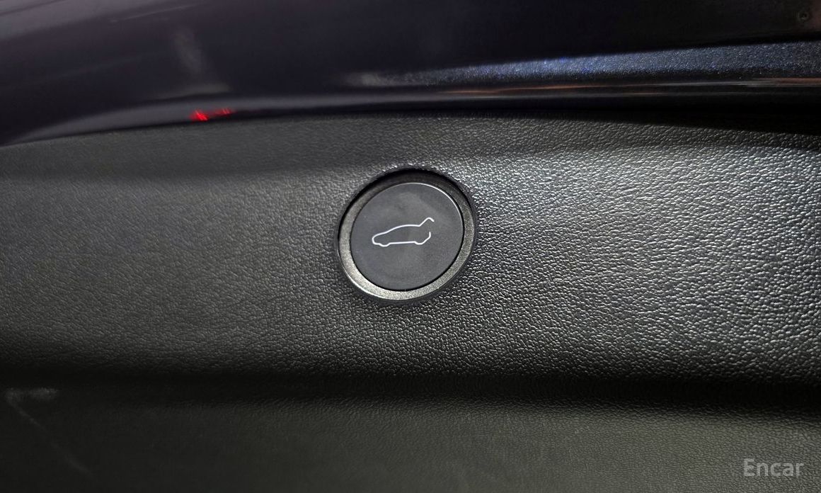 Model 3RWD 21