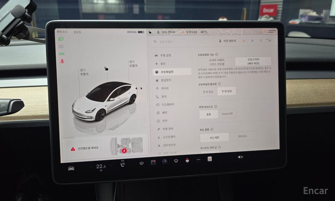 Model 3RWD 19