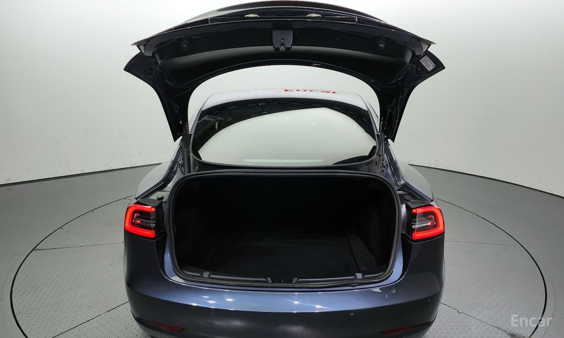 Tesla Model 3RWD №21