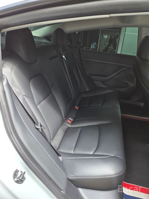 Model 3RWD 10