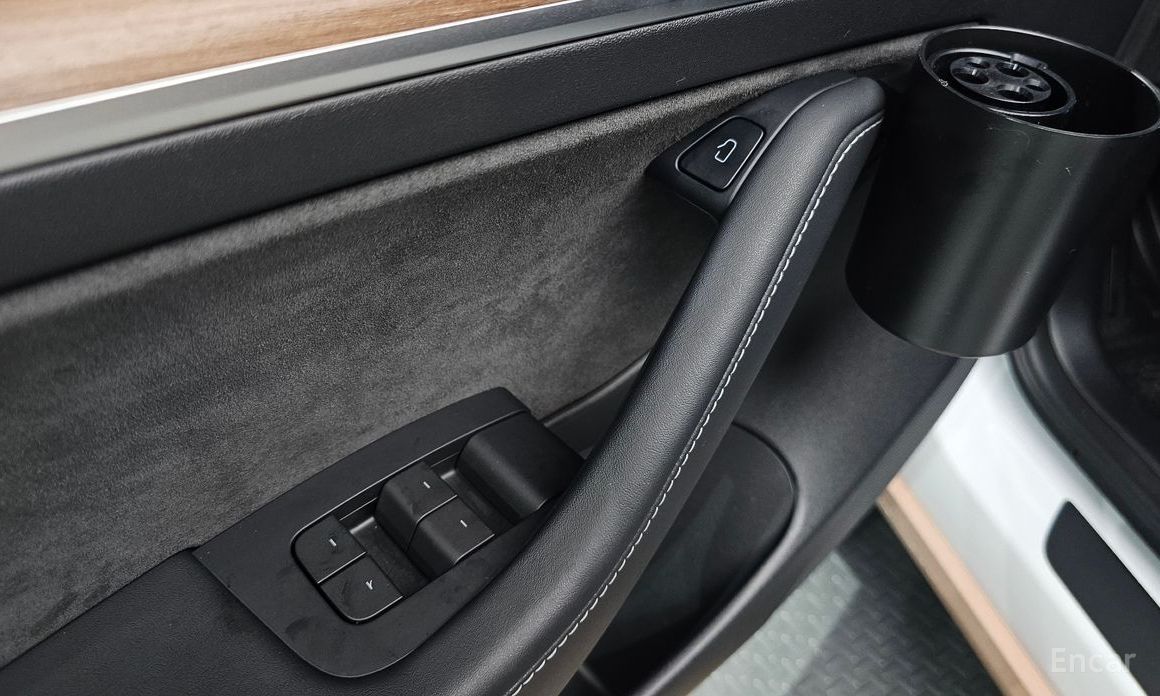 Model 3RWD 19