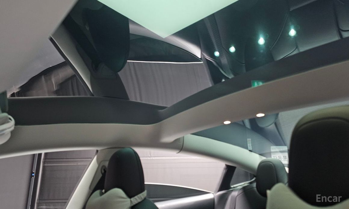 Model 3RWD 20