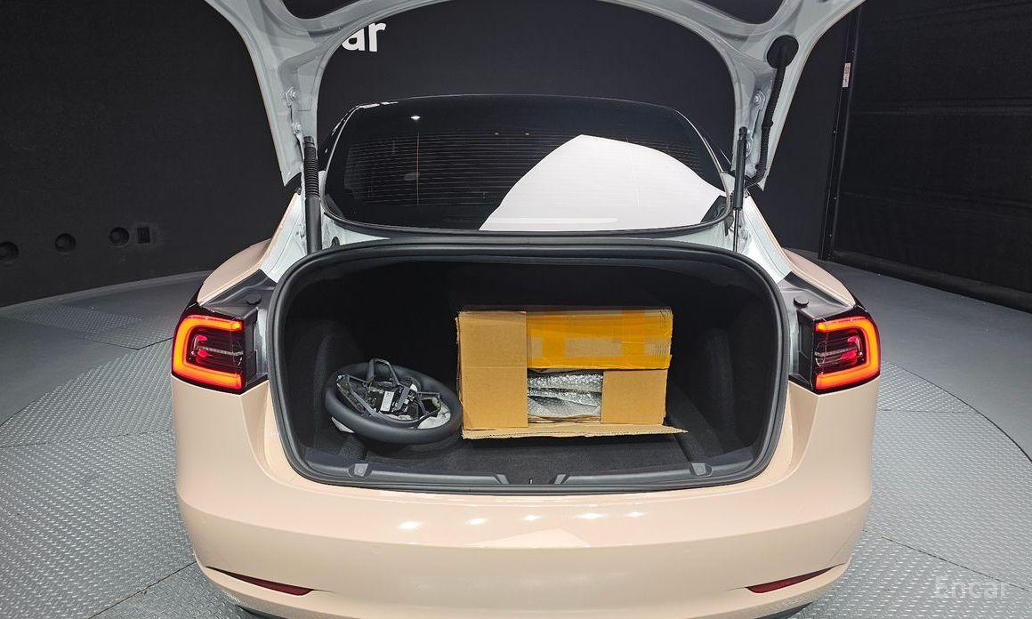 Model 3RWD 21