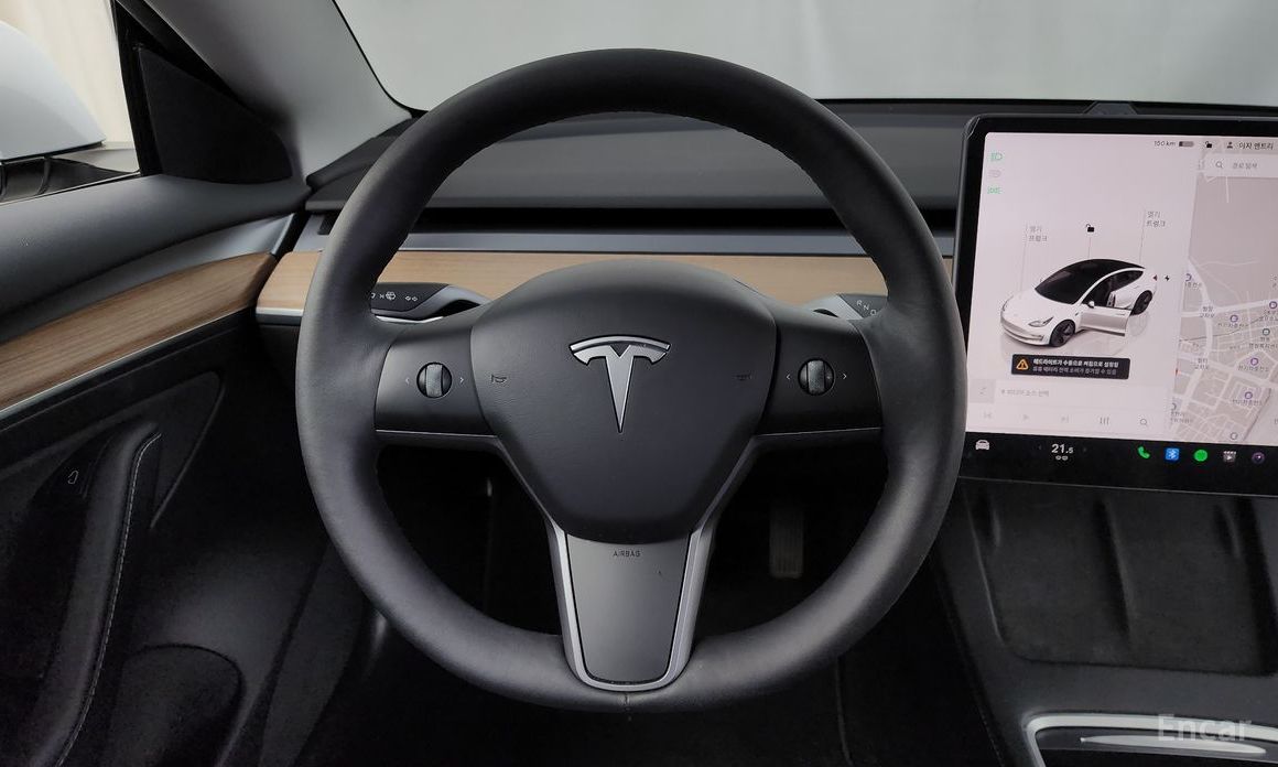 Model 3 Long Range 14
