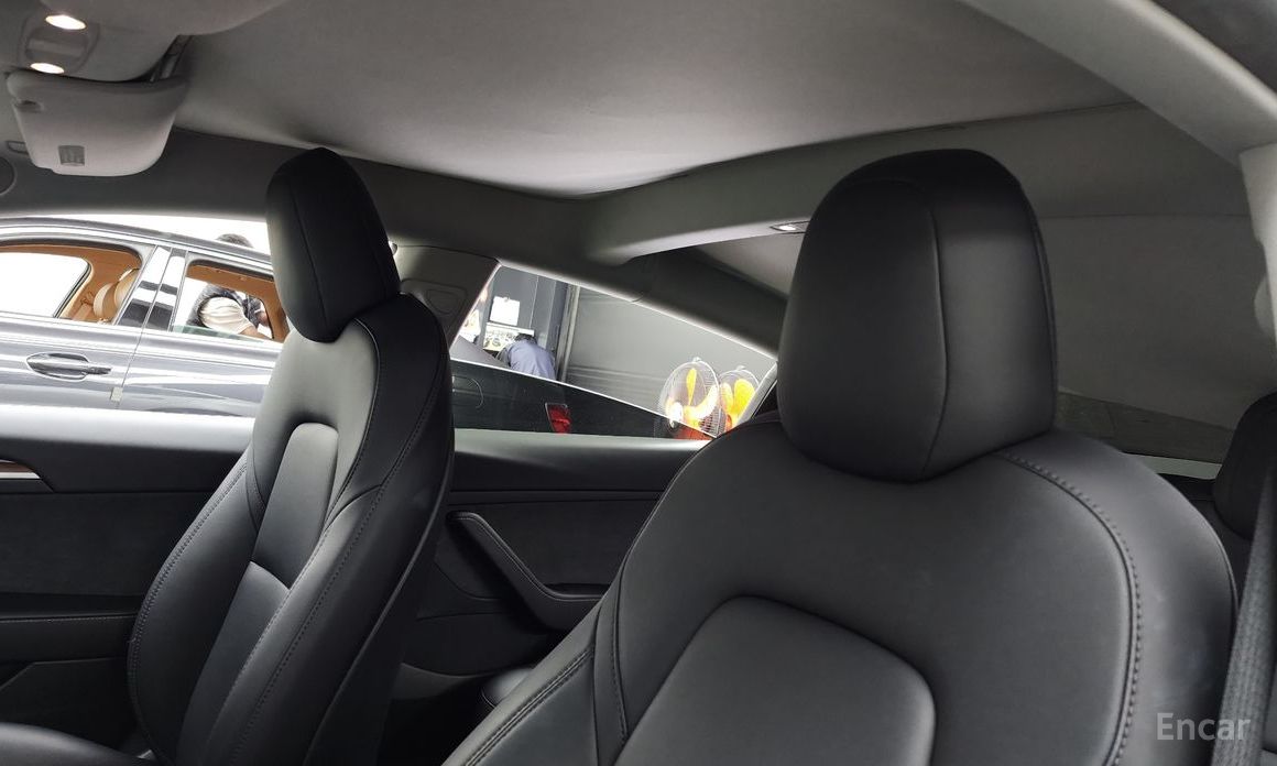 Model 3 Long Range 20