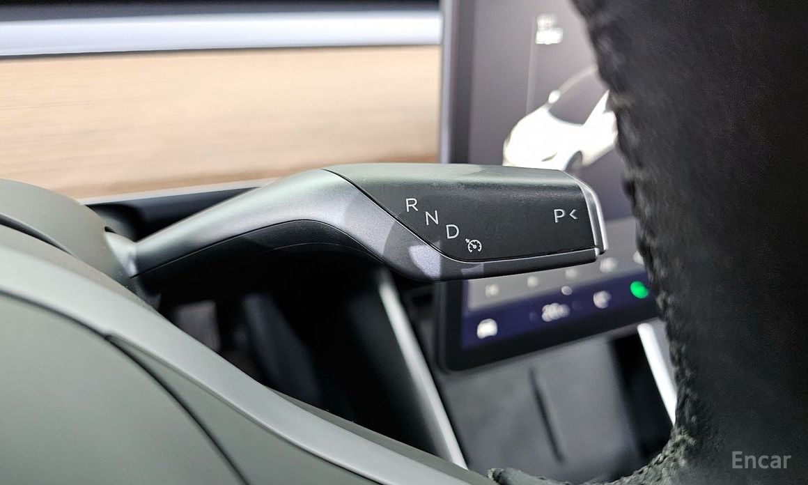 Model 3 Long Range 10