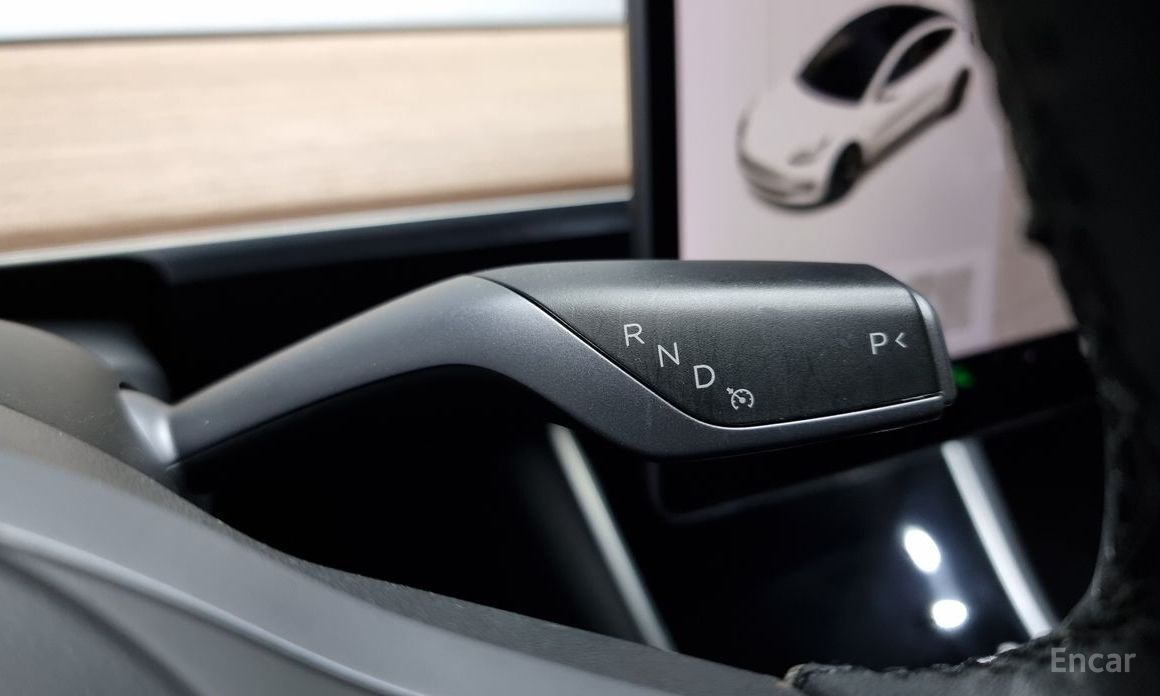 Model 3 Long Range 10