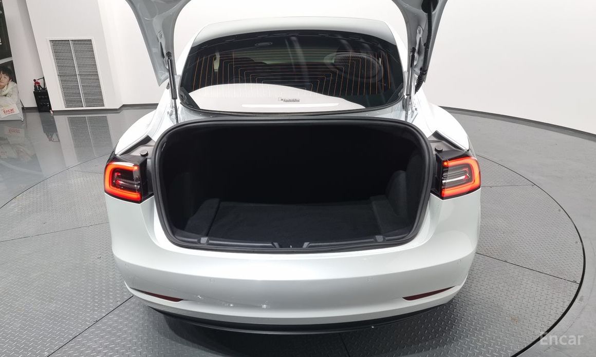 Model 3 Long Range 21