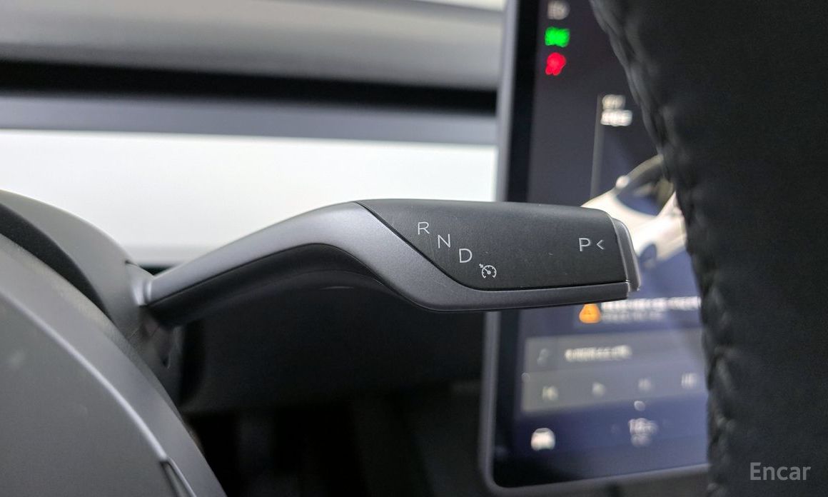 Model 3 Long Range 10