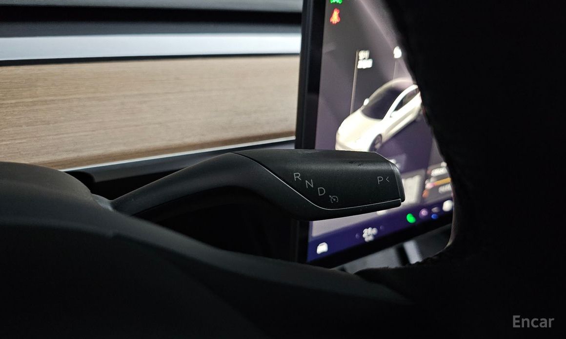 Model 3 Long Range 10