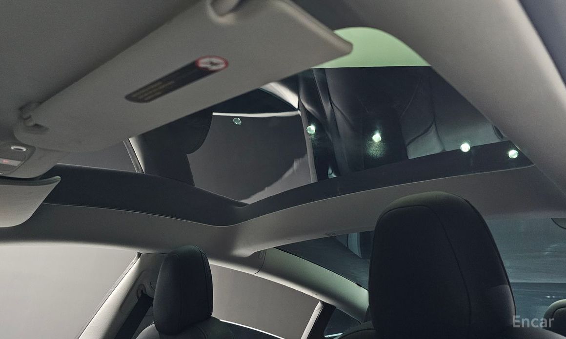 Model 3 Long Range 20