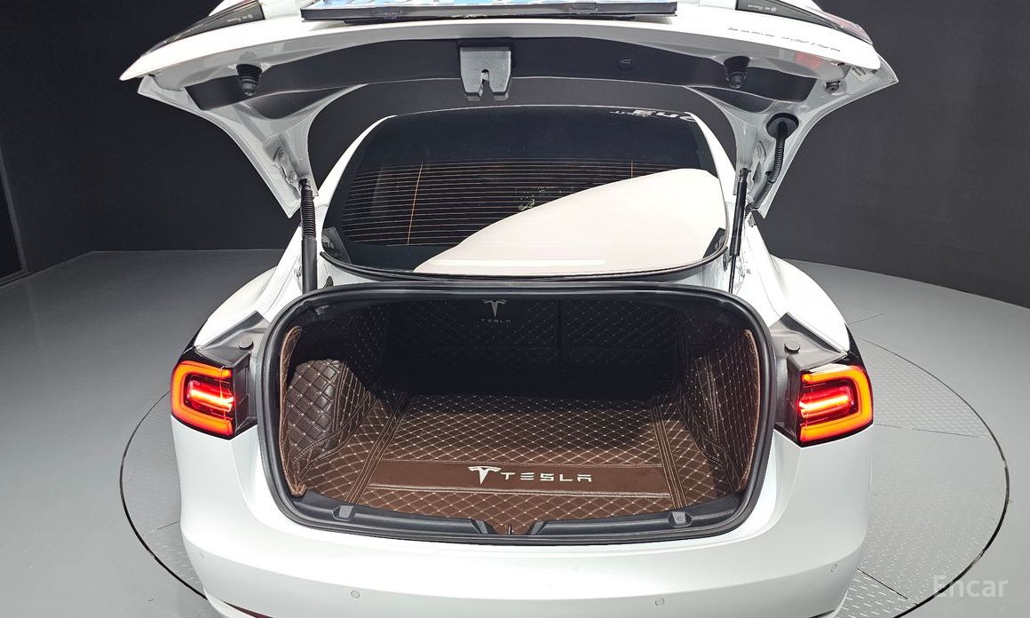 Model 3 Long Range 21