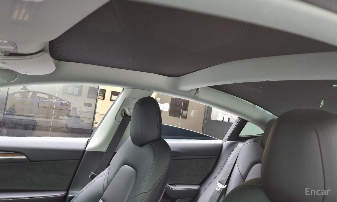 Model 3 Long Range 20