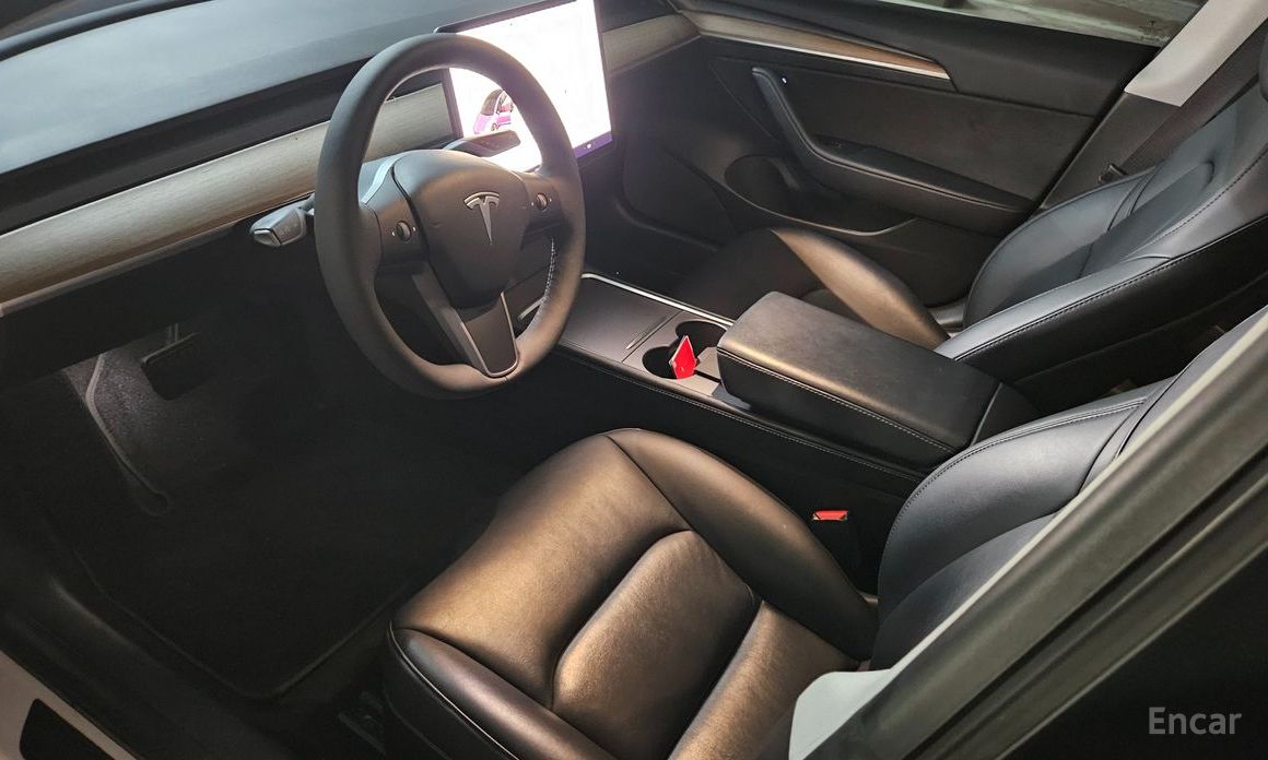 Model 3 Long Range 13