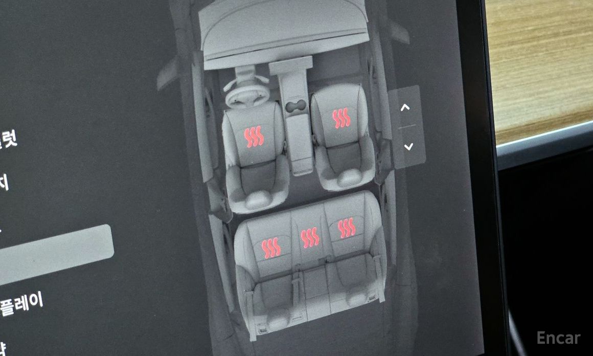 Model 3 Long Range 19