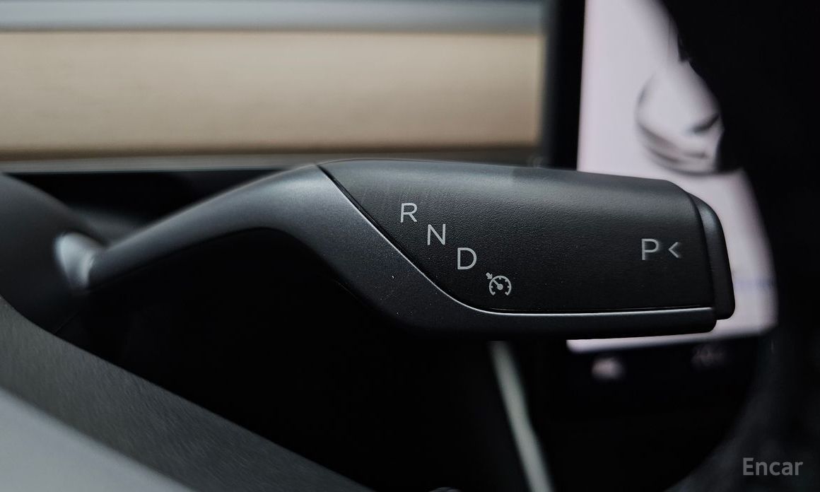 Model 3 Long Range 10