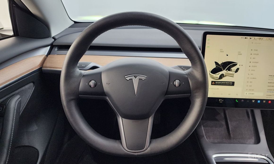 Model 3 Long Range 14