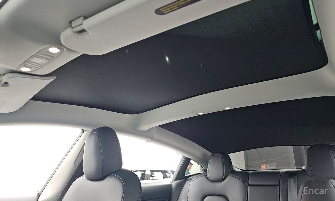 Model 3 Long Range 20