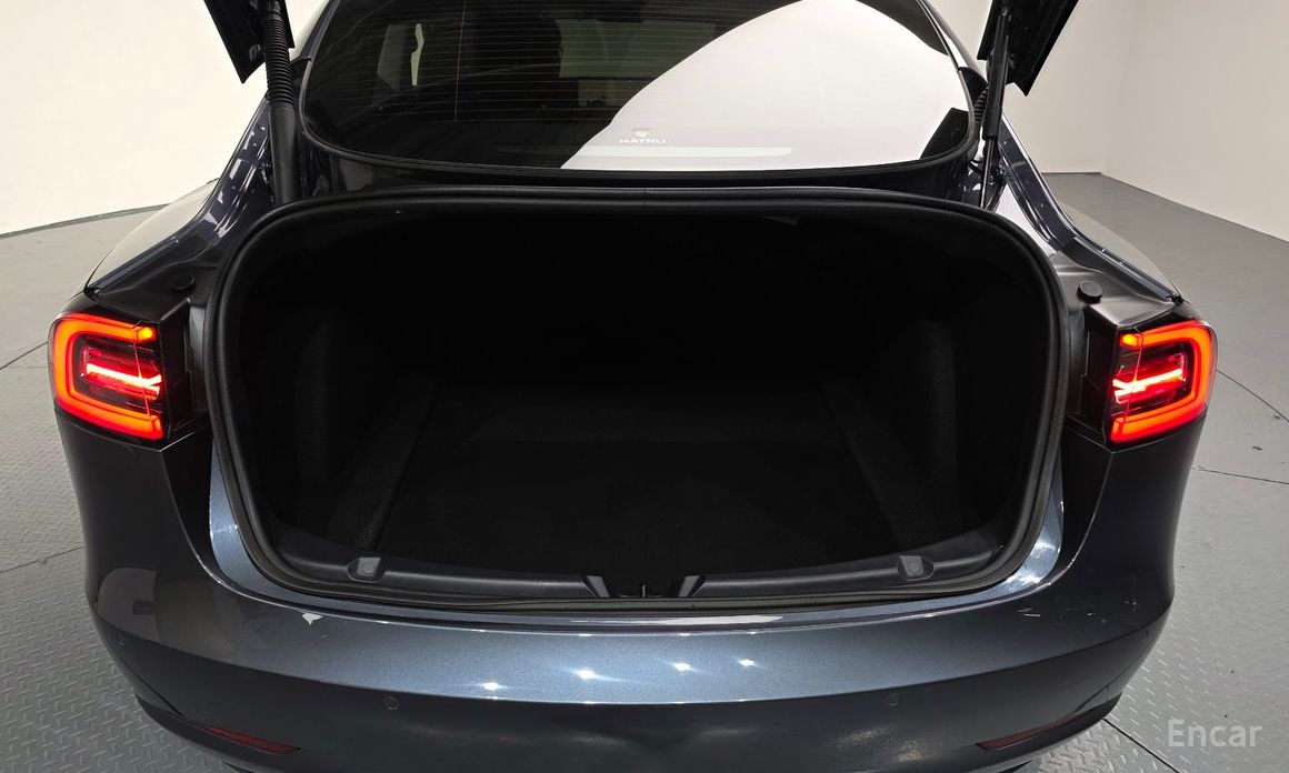 Model 3 Long Range 21