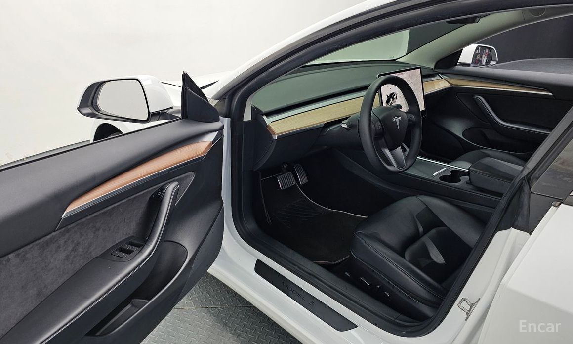 Model 3 Long Range 13