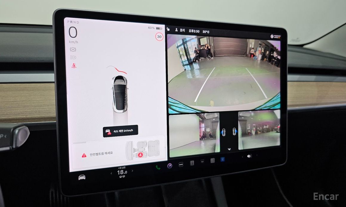 Model 3 Long Range 16