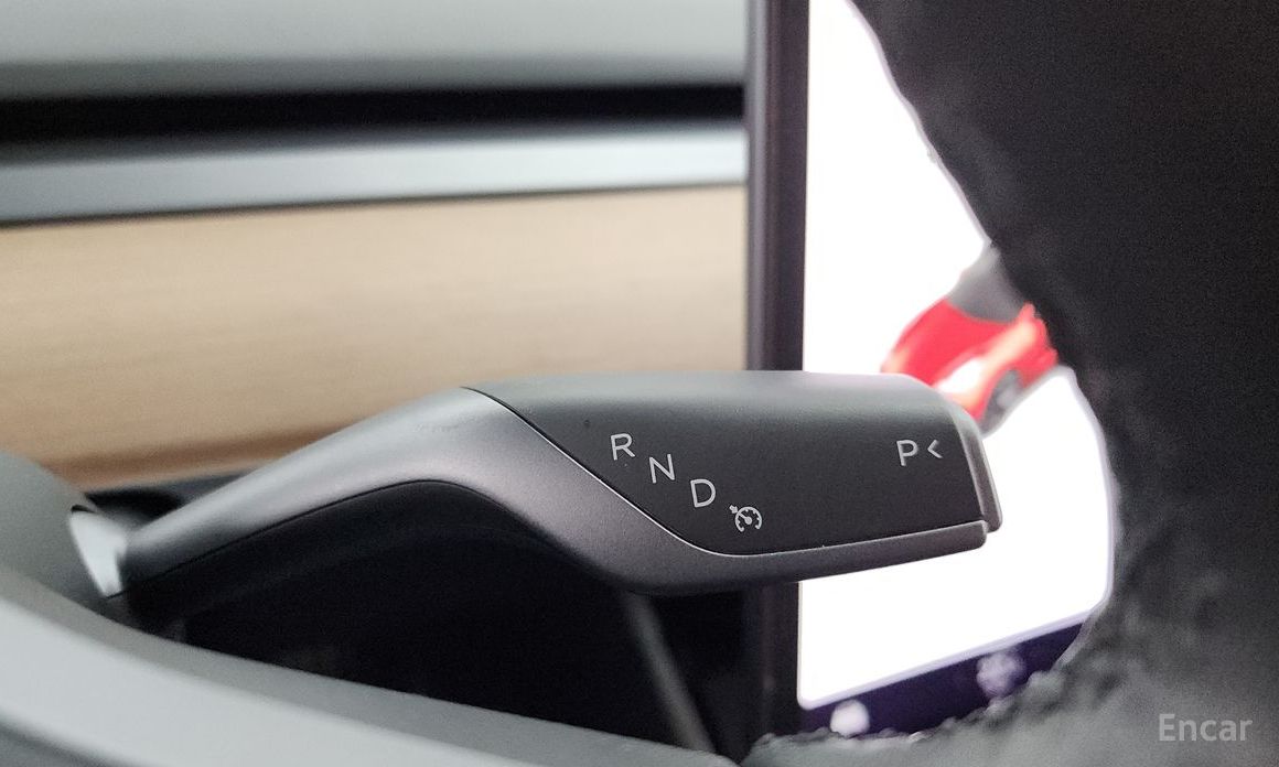 Model 3 Long Range 10