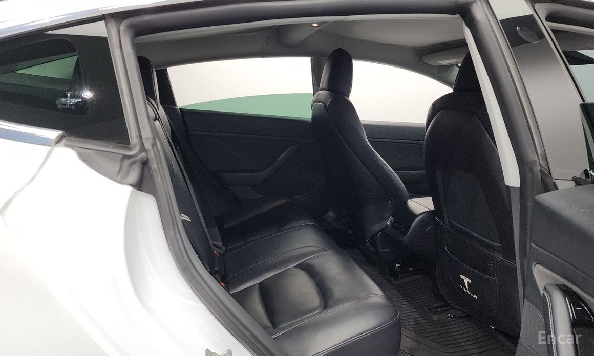 Model 3 Long Range 13