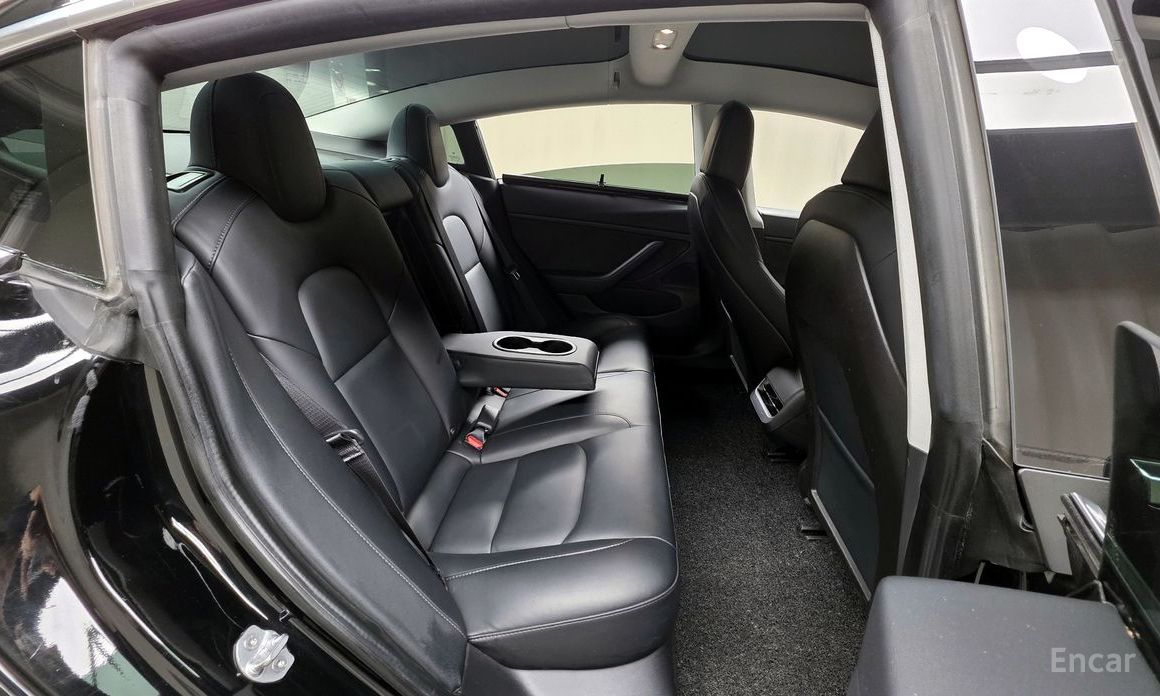 Model 3 Long Range 20