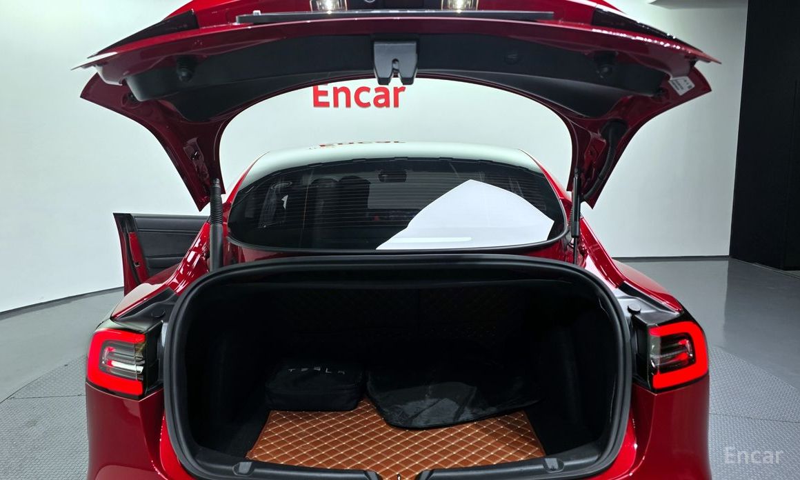 Model 3 Long Range 21