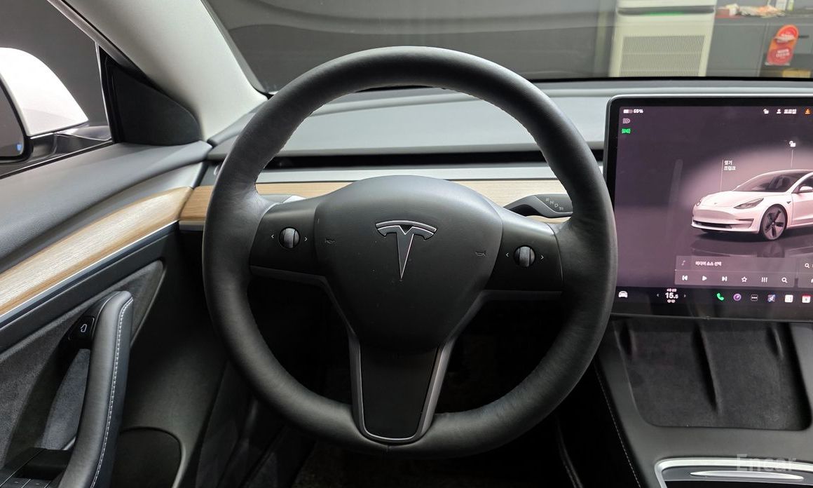 Model 3 Long Range 14