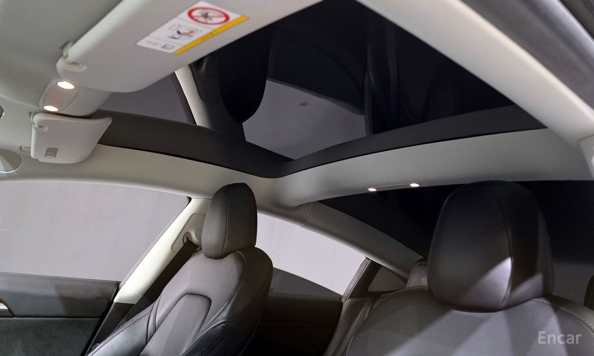 Model 3 Long Range 20