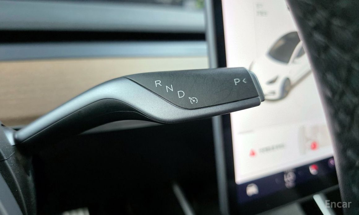 Model 3 Long Range 10