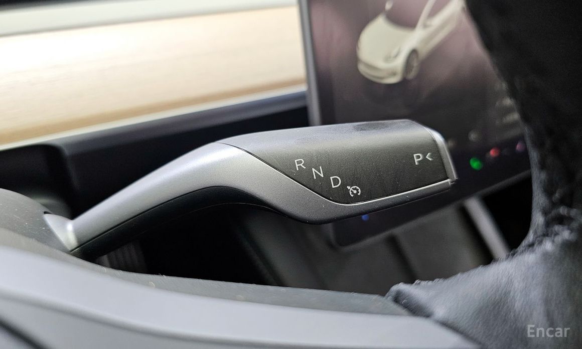 Model 3 Long Range 10