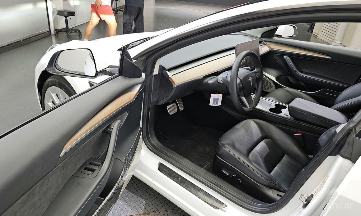 Model 3 Long Range 11