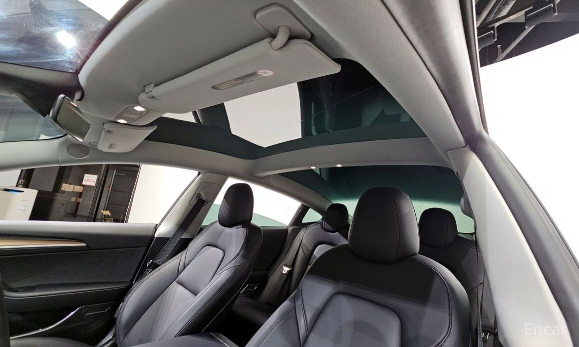 Model 3 Long Range 21